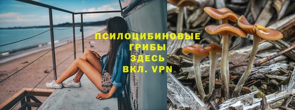 прущая мука Зерноград