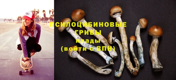 прущая мука Зеленодольск