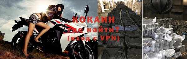 сатива Козловка