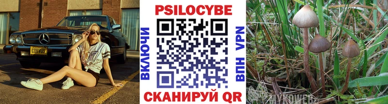 Галлюциногенные грибы GOLDEN TEACHER  где можно купить наркотик  Майский 